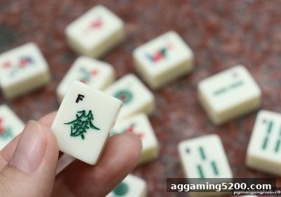 固定胡牌类型全攻略：麻将胡了pg带你玩转MG真人麻将