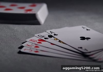 麻将胡了pg独家剖析：番摊麻将的全维度解读与走地盘实战指南