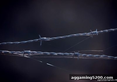 麻将胡了pg深度解析：游戏平台异常后，玩家如何合法追回损失？