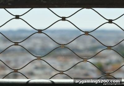 证据链构筑指南：在麻将胡了pg玩转五龙争霸的维权智慧